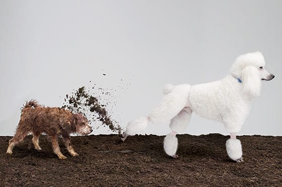 The Money-Empathy Gap